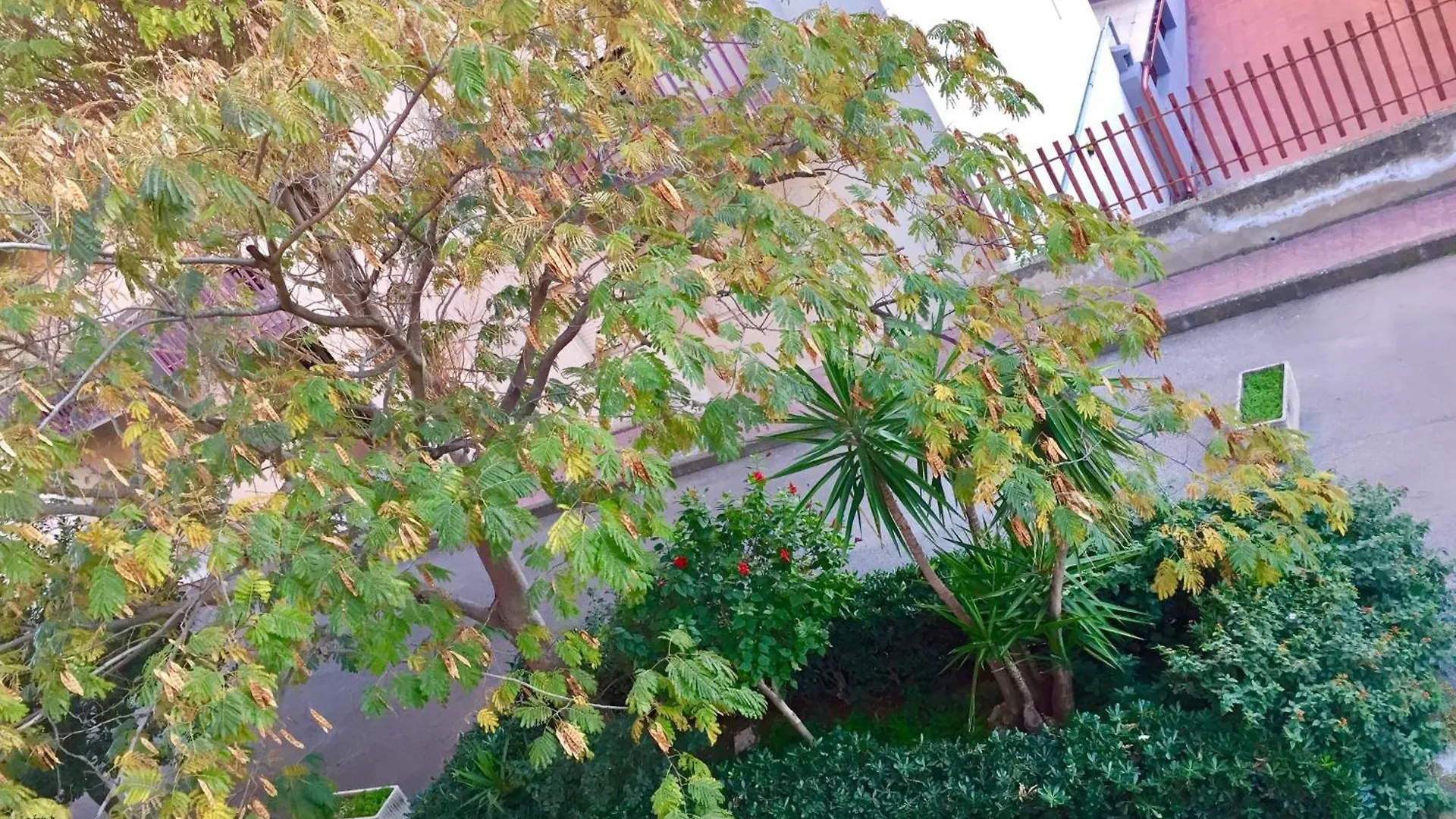 Casa Cristina location